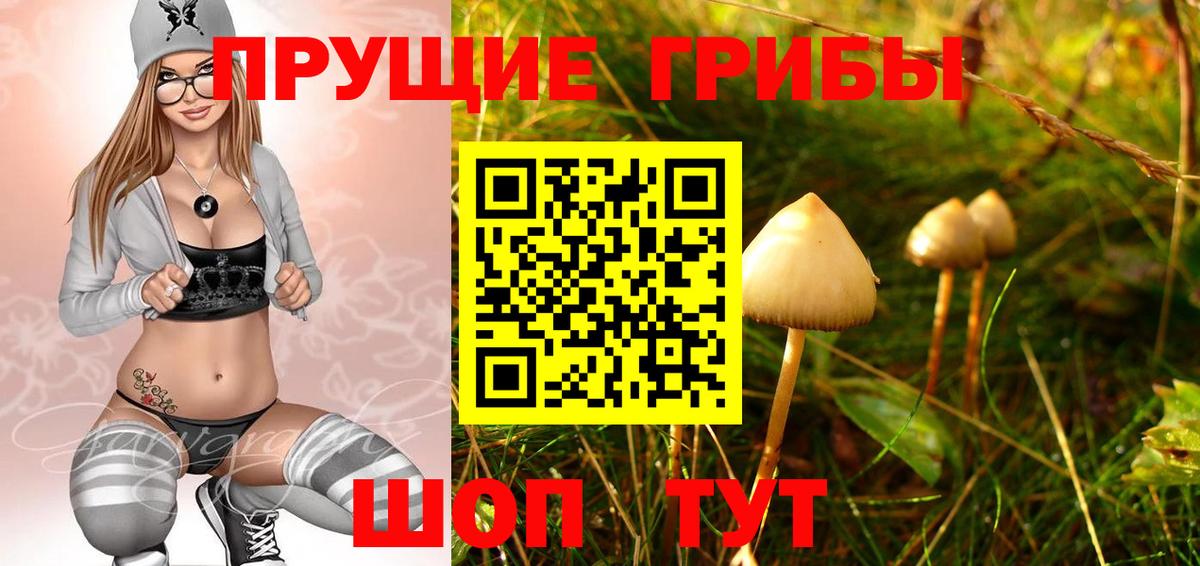 Псилоцибиновые грибы Psilocybe  Вход с VPN  Псилоцибиновые грибы мицелий  Златоуст 